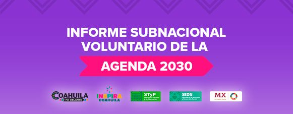 Informe Subnacional Voluntario
