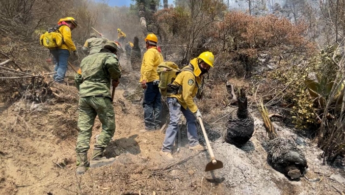 Controla Coahuila al 100 por ciento incendio en la Sierra de Arteaga