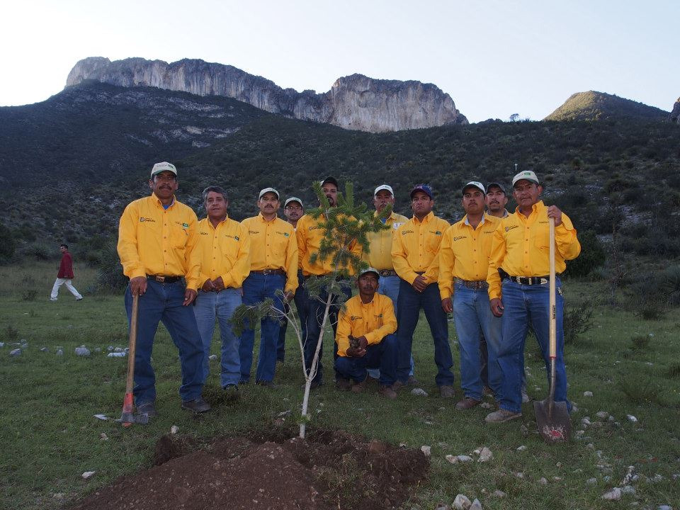 Preparan reforestaciÃ³n de Ã¡rea siniestrada en Sierra del Burro